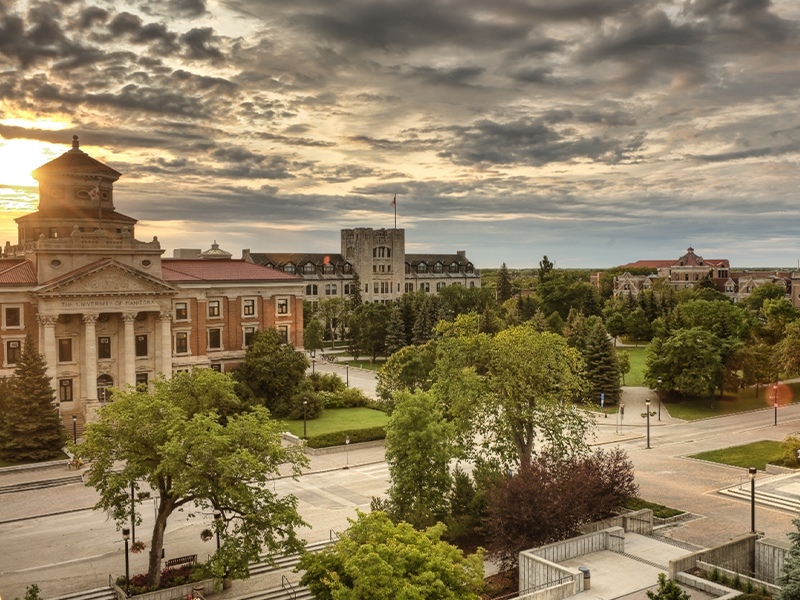 This image for Image Layouts addon