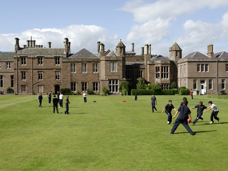 This image for Image Layouts addon