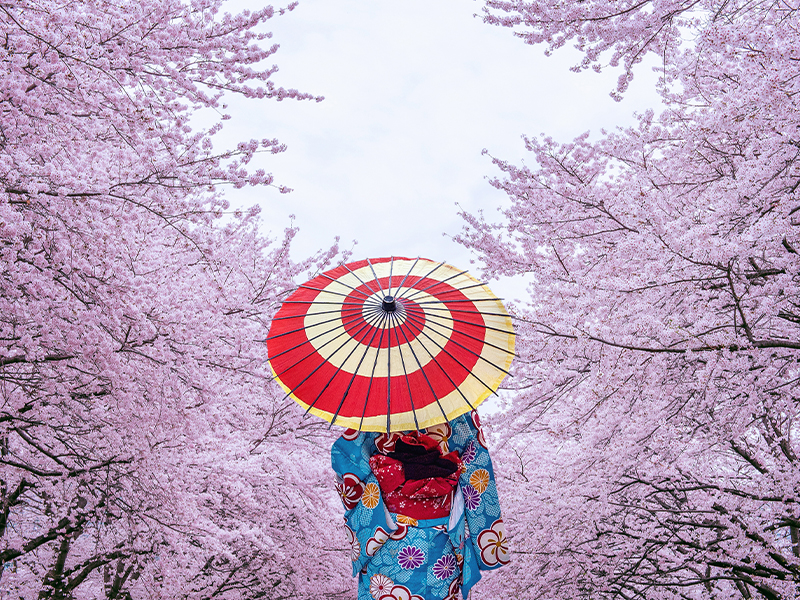 This image for Image Layouts addon