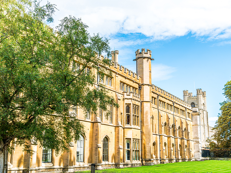 This image for Image Layouts addon