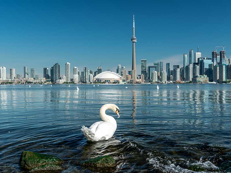 This image for Image Layouts addon