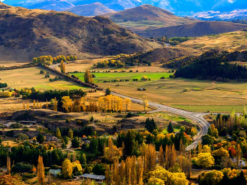 This image for Image Layouts addon