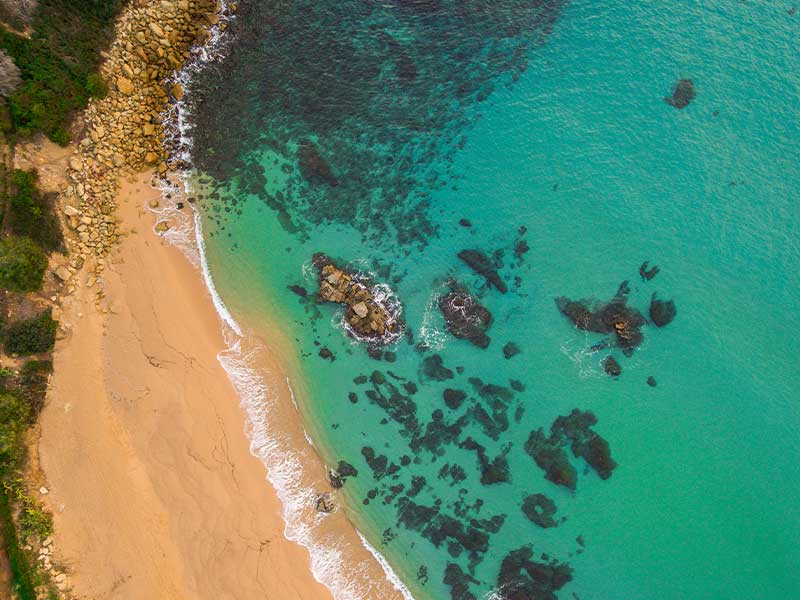 This image for Image Layouts addon