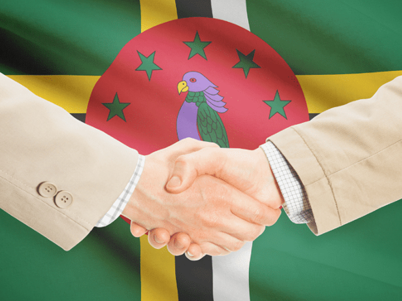 This image for Image Layouts addon